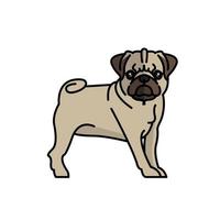 pug hond huisdier mascotte ras karakter vector