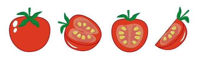 helder rood tomaten groenten plakjes geïsoleerd Aan wit achtergrond. vector achtergrond sjabloon banier eps10