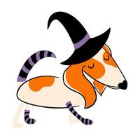 schattig brak hond in knuppel kostuum geïsoleerd Aan transparant achtergrond. hondje karakter in halloween kostuum voor huisdieren feest. vector illustratie voor afdrukken, kaarten, decoraties.