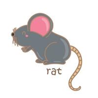 alfabet r voor Rat woordenschat school- les tekenfilm illustratie vector clip art sticker