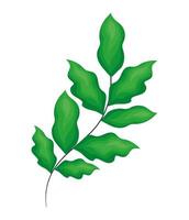 groene plant illustratie vector