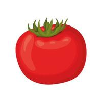 rode tomaat icoon vector