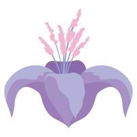 bloem met een paarse kleur vector