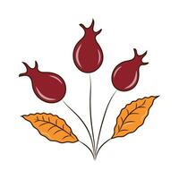 schattig clip art in herfst stijl met een hondenroos fruit vector