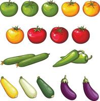 vers groenten illustratie, groenten mengen vector