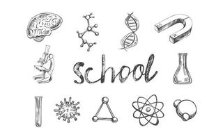 terug naar school, hand- getrokken school- benodigdheden - groot schetsen set. tekening belettering en school- voorwerp verzameling. onderwijs concept. wijnoogst schetsen element. vector illustratie. terug naar school.