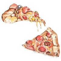 plak van pizza waterverf schilderen.italiaans snel voedsel. vector