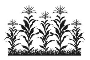 maïs veld- silhouet. maïs boerderij zwart vector illustratie. teelt van gewassen.