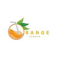 oranje plak fruit logo, vers sap fruit ontwerp symbool sjabloon vector illustratie