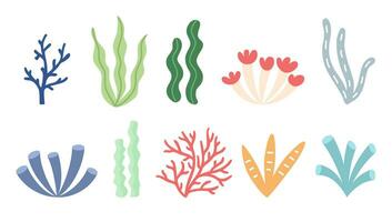 reeks van hand- getrokken vlak tekenfilm zeewier en koralen Aan geïsoleerd wit achtergrond. vector illustratie