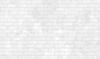 wit grijs grunge steen muur achtergrond vector