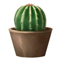 ronde cactus in een fabriek pot geïsoleerd gedetailleerd hand- getrokken schilderij illustratie vector