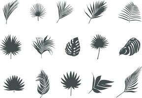 palm bladeren silhouetten, tropisch palm bladeren vector, blad icoon, blad silhouet, palm blad vector