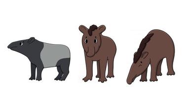 set van drie vector schattig overzicht doodle cartoon jonge bruine en zwarte witte Amerikaanse Zuid-Pinchaque tapirus berg wild Ecuador, Maleisische of Aziatische volwassen tapirs. geïsoleerde hand getekende illustratie