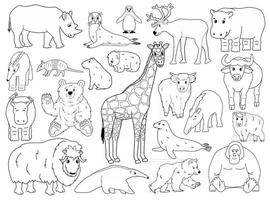 set doodle dieren. vector overzicht cartoon geïsoleerde grafische hand getekende illustratie. giraffe beer orang-oetan os neushoorn wombat hoogland koe seal tapir miereneter jak nijlpaard capibara pinguïn gordeldier