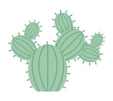 groen cactusontwerp vector