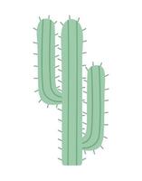 mooie cactus weergave vector