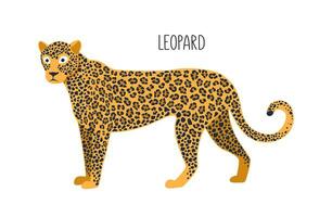 luipaard is een wild kat. titel. vector vlak illustratie van dier geïsoleerd Aan wit achtergrond.