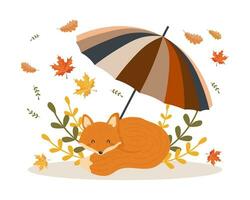 schattig vos onder een gestreept paraplu met herfst bladeren. tekenfilm stijl. herfst afdrukken, vector