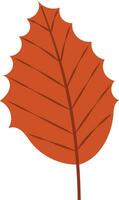 oranje herfst blad element vector