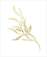 botanisch gouden illustratie van een bladeren Afdeling voor bruiloft uitnodiging en kaarten, logo ontwerp, web, sociaal media en posters sjabloon. elegant minimaal stijl bloemen vector geïsoleerd.