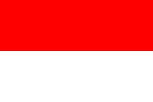 nationaal vlag van Indonesië in officieel kleuren. vector