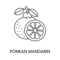 citrus fruit ponkan mandarijn, lijn icoon in vector naar aangeven Aan voedsel verpakking over de aanwezigheid van deze allergeen