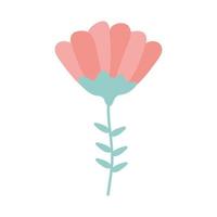 tulp met een roze kleur vector