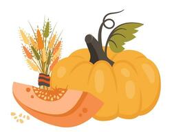 geheel pompoen en voor de helft met vallen bladeren, tarwe, korrel. rijp oogst groente. gezond vegetarisch voedsel. vector illustratie voor herfst ontwerp, mooi zo voeding, agrarisch oogst, dankzegging