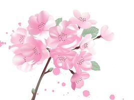 vector hand- geschilderd kers bloesems bloeien in voorjaar
