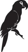 papegaai vector silhouet illustratie
