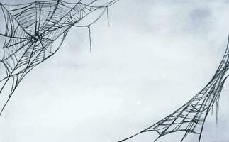 spin web silhouet tegen grijs muur. halloween thema donker achtergrond. waterverf achtergrond. vector