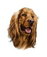 engels cocker spaniel hoofd van splash van aquarellen, gekleurde tekening, realistisch. vectorillustratie van verf vector