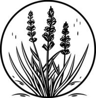 lavendel, zwart en wit vector illustratie
