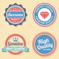 Vintage Retro Vector Logo voor banner