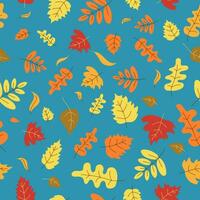 bladeren patroon. naadloos achtergrond. natuur, herfst seizoen. herfst bladeren zijn oranje, beige, bruin en geel. vector illustratie in tekening stijl. vector achtergrond.