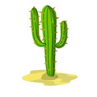 cactus. groen woestijn fabriek. sappig met doornen. element van zuidelijk landschap van natuur. vlak tekenfilm illustratie vector