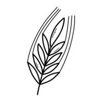 aartje van tarwe in tekening stijl. vector illustratie. lineair oor van tarwe.
