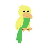 schattig papegaai geïsoleerd Aan wit achtergrond. tekenfilm vlak vector illustratie