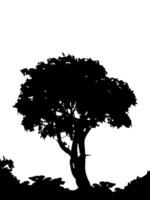 vector silhouet van een jonge boom. silhouet boom clipart.