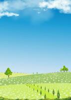 voorjaar achtergrond, berg landschap met madeliefje bloemen veld, blauw lucht, wolken, panorama zomer landelijk natuur in met groen gras land- Aan heuvel.cartoon vector illustratie backdrop voor natuur banier