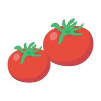 natuurlijke tomaten elementen vector