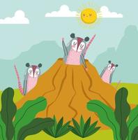 dieren opossum familie vector