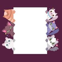 katten schattig schattige dieren gedomesticeerde kat met banner vector