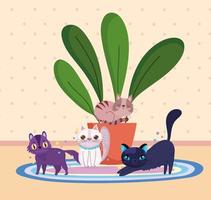 katten cartoon met potplantenhuis vector