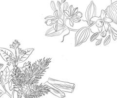 botanisch hand- tekening vector illustratie