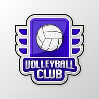 volleybal bal. sport spel toernooi. liga team en ventilator club. vector illustratie.