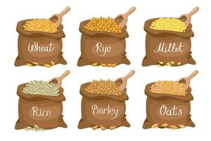 granen set. linnen Tassen met granen tarwe, rogge, haver, rijst, gerst, gierst. oogst, landbouw. illustratie, vector