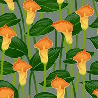 donker grijs vector naadloos achtergrond met bloeiend oranje calla lelies