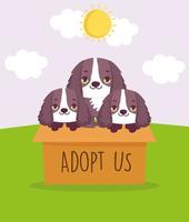 adopteer ons honden in de doos vector